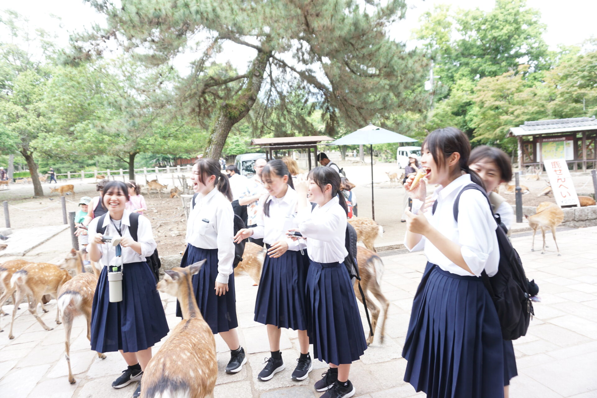 修学旅行で学びと思い出を深めました | 熊谷市立妻沼西中学校